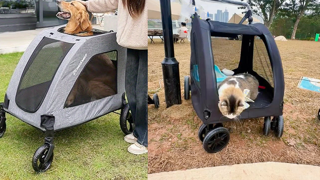 XL extra large dog stroller with mesh canopy, swivel wheels, and storage basket holding two large dogs on a paved park path.