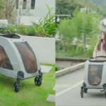 XL extra large dog stroller with mesh canopy, swivel wheels, and storage basket holding two large dogs on a paved park path.