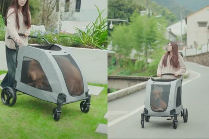 XL extra large dog stroller with mesh canopy, swivel wheels, and storage basket holding two large dogs on a paved park path.