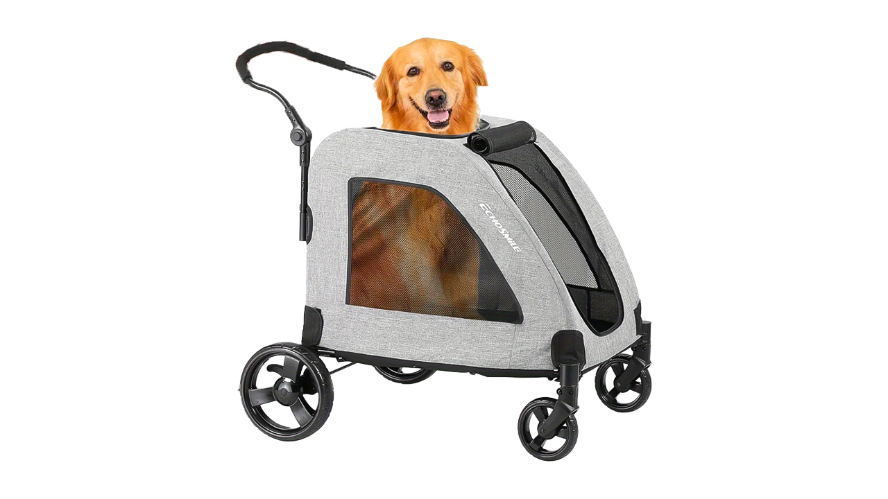 XL extra large dog stroller with mesh canopy, swivel wheels, and storage basket holding two large dogs on a paved park path.